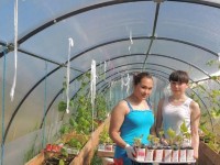 �����������