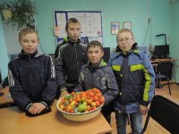 �����������