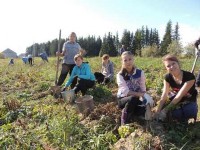 �����������