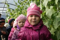 �����������